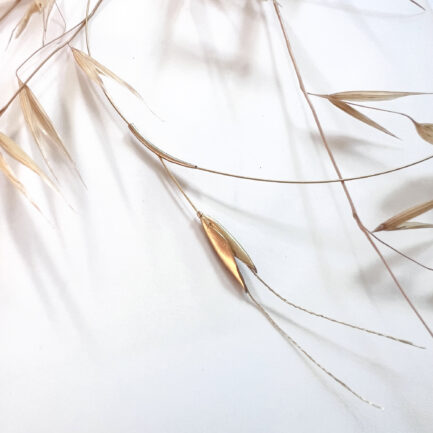 Wild Oat Botanical Short Necklace